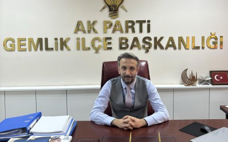 Ak parti Gemlik ilçe başkanı Mehmet Taşar sosyal medyasında yaptığı açıklama