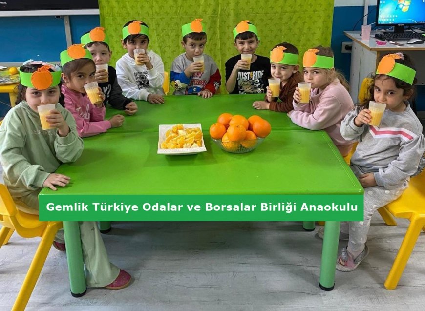 "Sağlıklı Beslenme Yolculuğum" Projesi Gemlik’te Hayata Geçiyor
