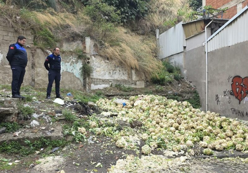 Gemlik’te 10 Tonu Aşan Karnabahar İmha Edildi